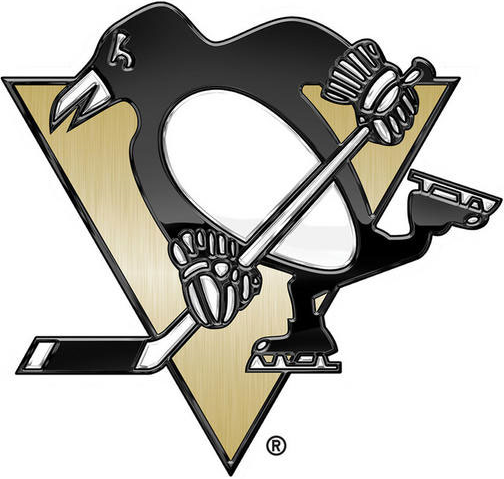 Pittsburgh Penguins 2014 Special Event Logo iron on transfers for T-shirts